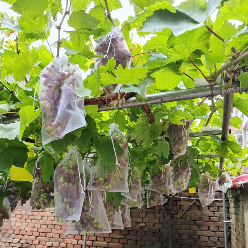 0515 Beg buah