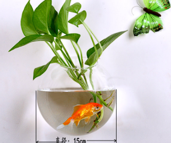 1229c Wall Mounted Vase