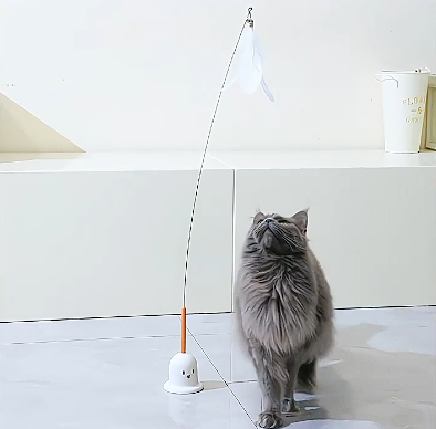 Cat Toy