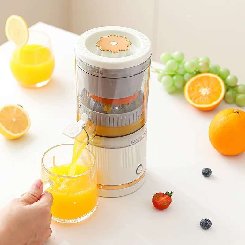 Mini Portable Juicer