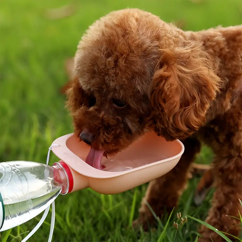 Pet drinking fountain, outing drinking cup water for cat