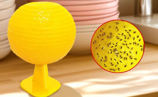 0914 Insect Trap
